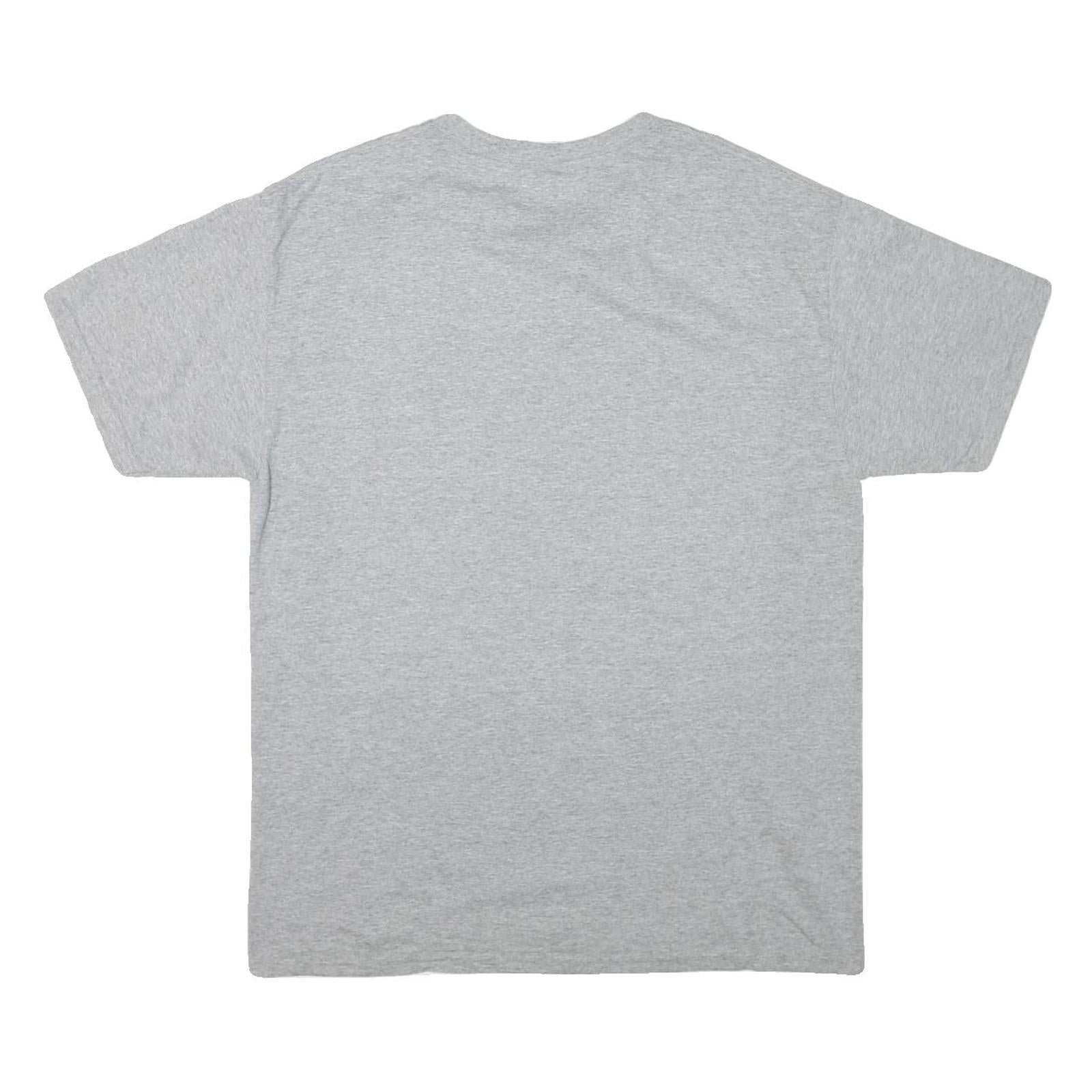 JERZEES Mens Grey Niagara Falls New York Graphic T-Shirt L Short Sleeve Crew