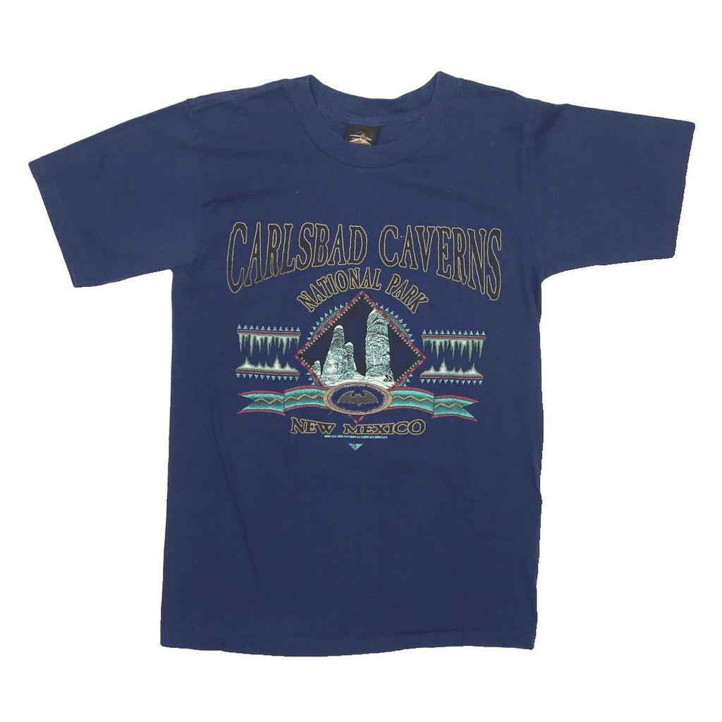 PRAIRIE MOUNTAIN Mens Blue Carlsbad Caverns National Park Graphic T-Shirt L
