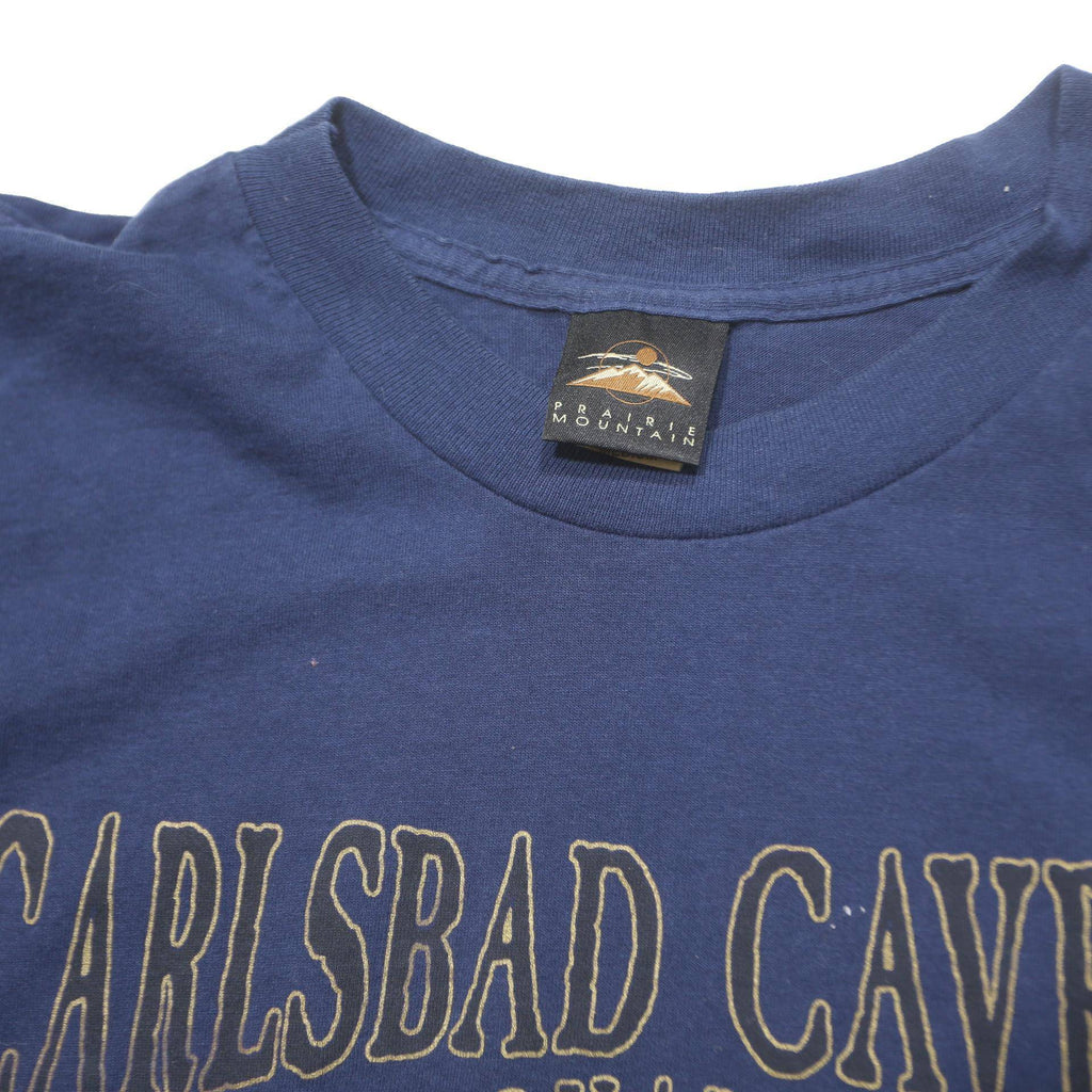 PRAIRIE MOUNTAIN Mens Blue Carlsbad Caverns National Park Graphic T-Shirt L