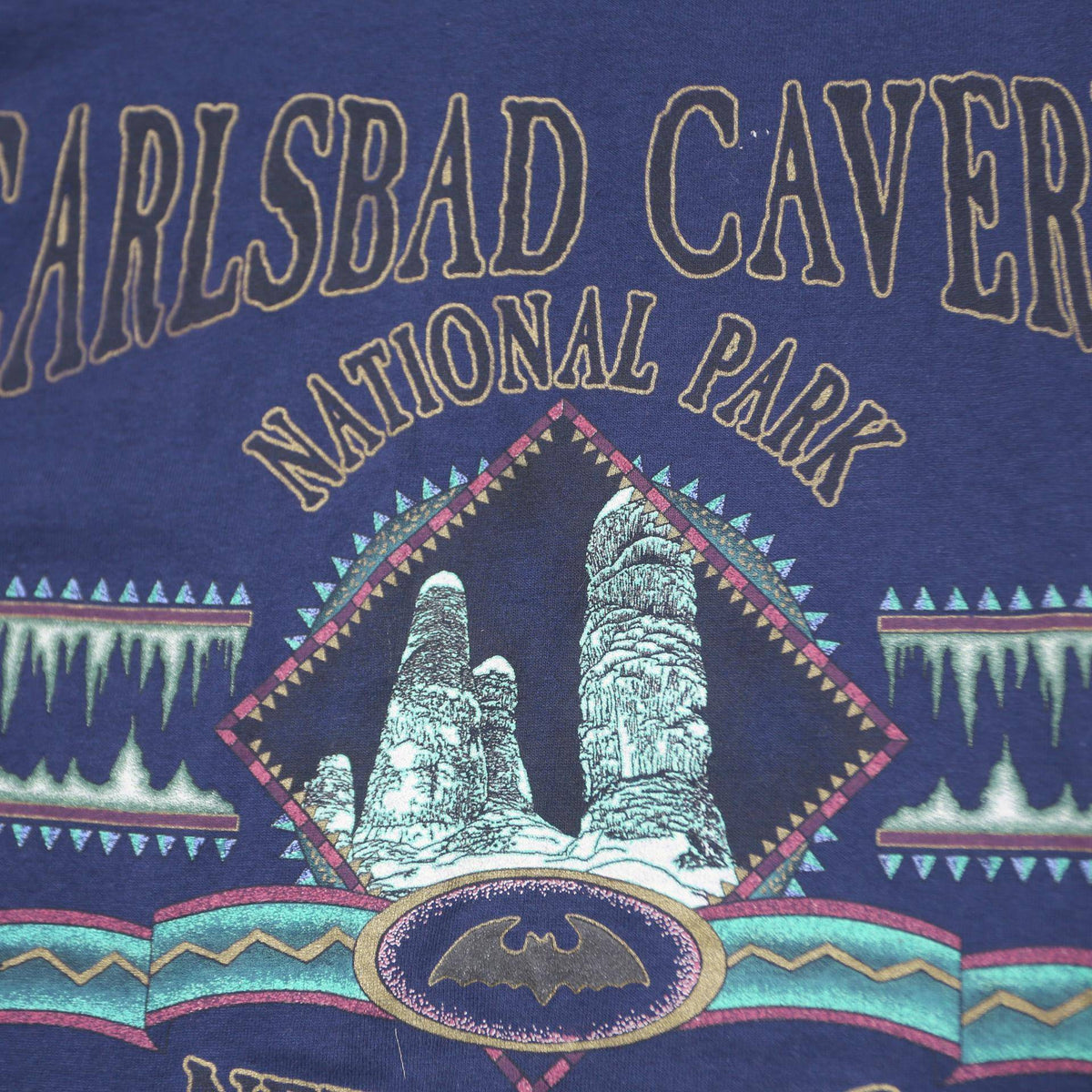 PRAIRIE MOUNTAIN Mens Blue Carlsbad Caverns National Park Graphic T-Shirt L