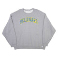 Delaware Mens Sweatshirt Grey USA XL