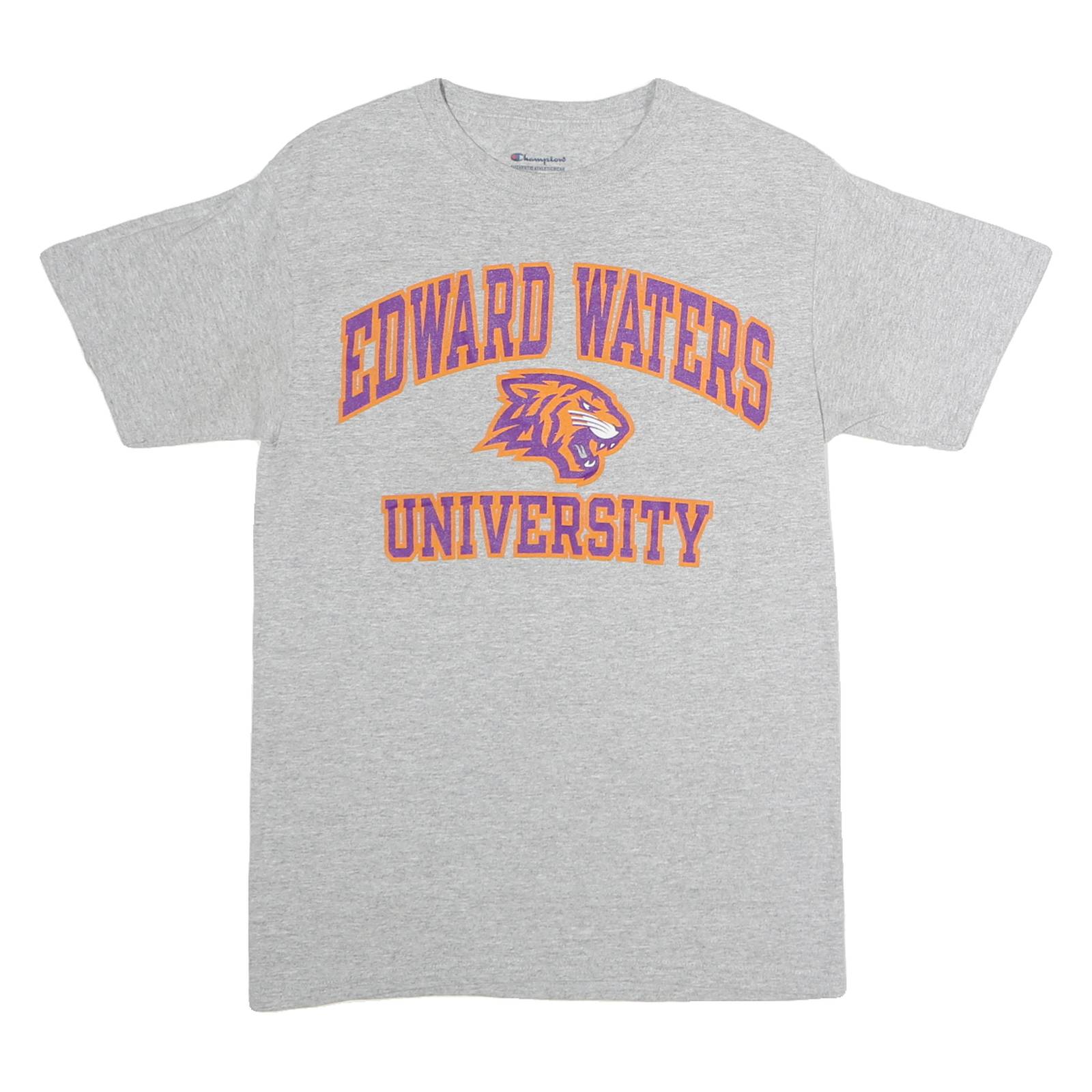 CHAMPION Mens Grey Edward Waters University Graphic T-Shirt S Short Sleeve Crew