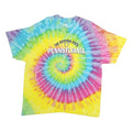 COLORTONE Mens Yellow & Blue Tie Dye Pennsylvania Graphic T-Shirt 2XL Short