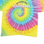 COLORTONE Mens Yellow & Blue Tie Dye Pennsylvania Graphic T-Shirt 2XL Short