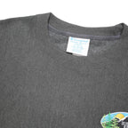 CHAMPION REVERSE WEAVE Mens Grey Pullover Sweatshirt XL Sustainable Management