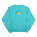 DISNEY Womens Turquoise Winnie The Pooh And Tigger Crew Neck XL Cotton