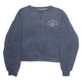 JACK WILLS Womens Sweatshirt Blue Crew Neck UK 10