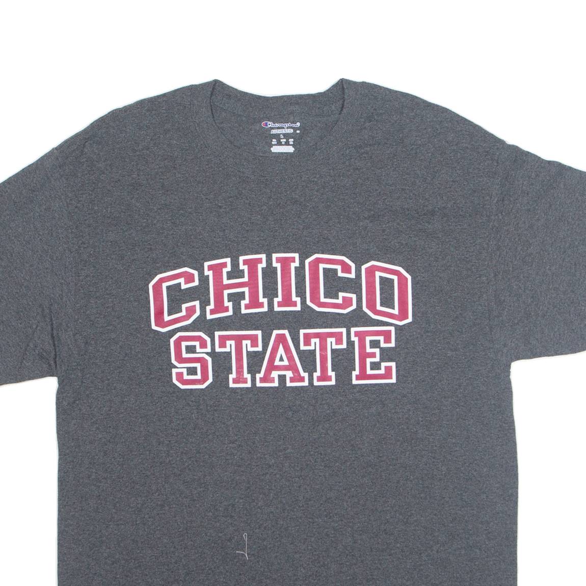 CHAMPION CHICO STATE Mens T-Shirt Grey USA L