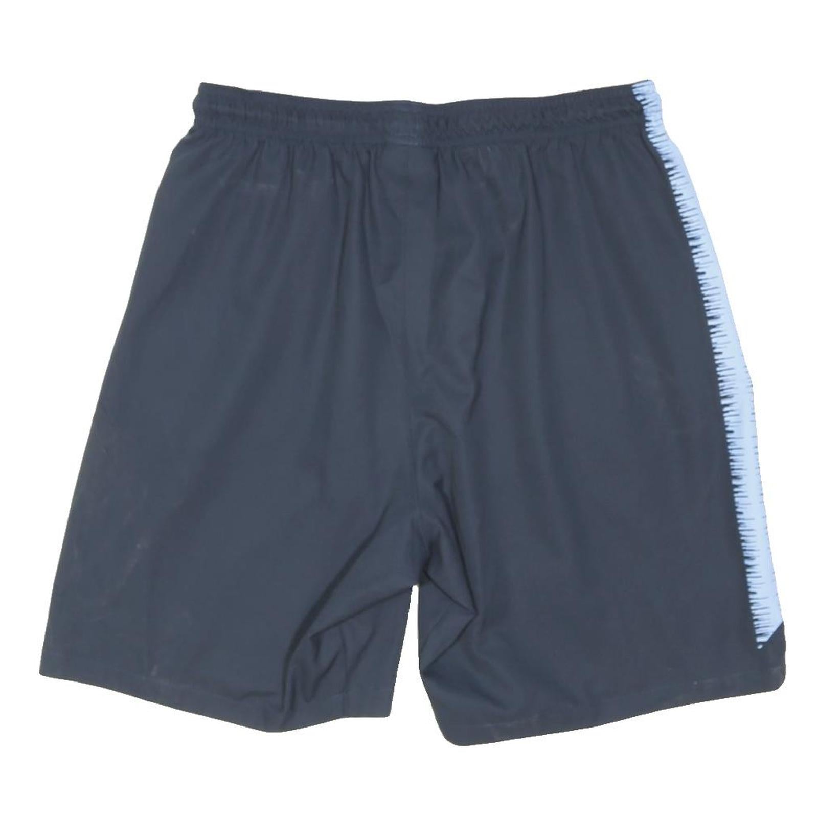 NIKE Mens Shorts Blue & Light Blue Manchester City Casual L W28 GC Logo