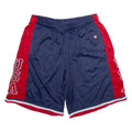 CHAMPION Mens Casual Shorts Blue Relaxed XL W33