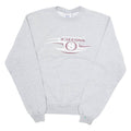 CHAMPION Eco Falcons Mens Sweatshirt Grey USA M