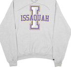 CHAMPION Mens Grey Issaquah Pullover Hoodie M Cotton Blend