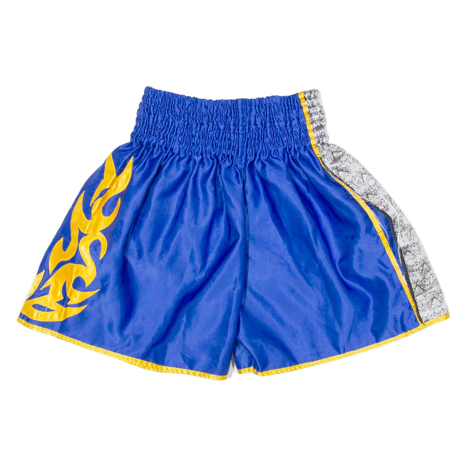 Mens Sports Shorts Blue M W22