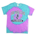 GILDAN Mens Blue & Purple Tie Dye T-Shirt L Short Sleeve Crew Neck Anna Maria