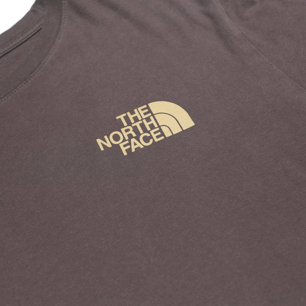 THE NORTH FACE Mens Brown XL Short Sleeve Crew Neck Graphic T-Shirt