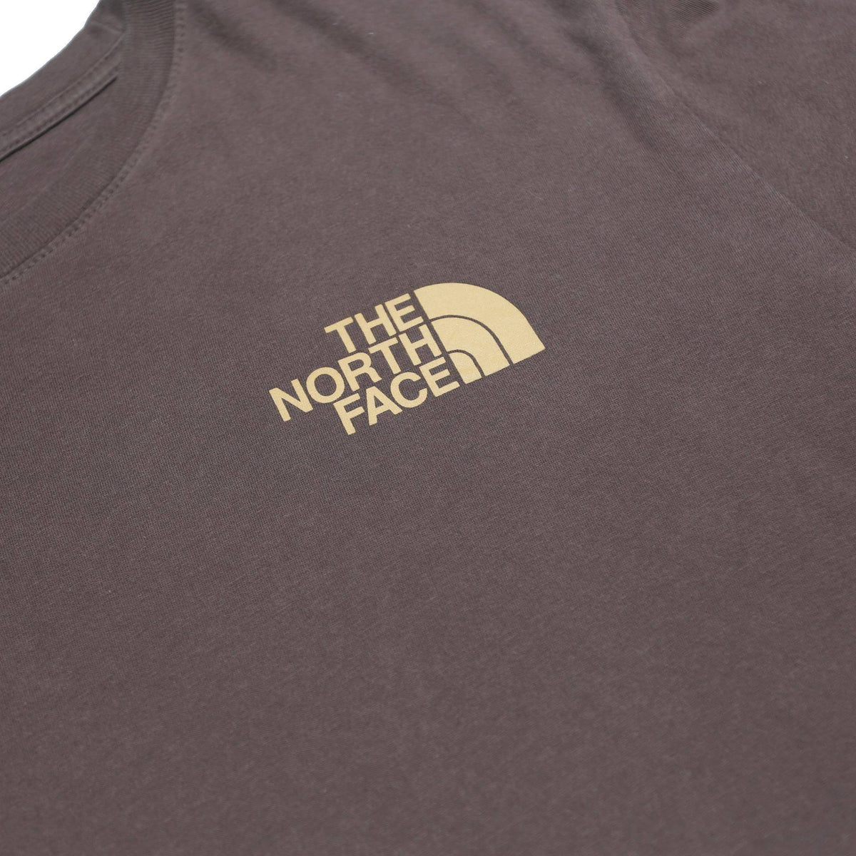 THE NORTH FACE Mens Brown XL Short Sleeve Crew Neck Graphic T-Shirt