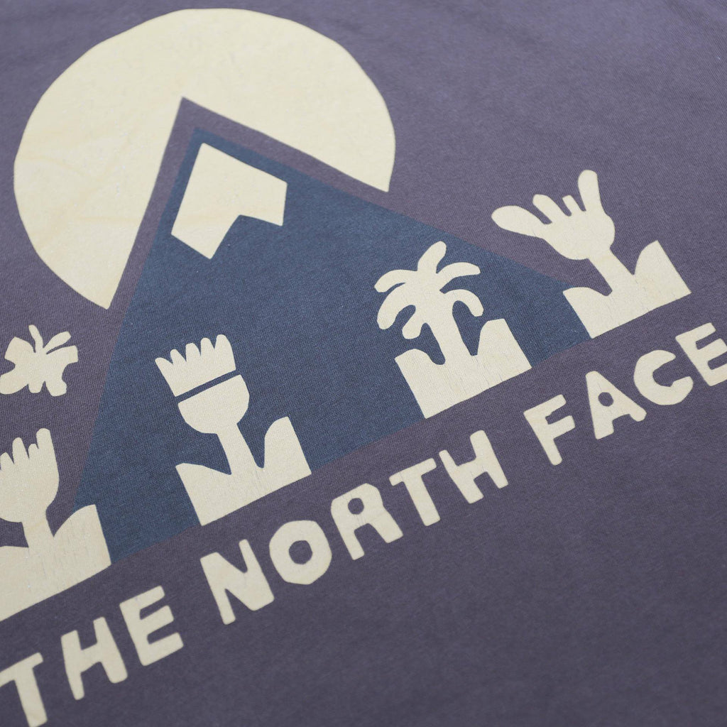 THE NORTH FACE Mens Brown XL Short Sleeve Crew Neck Graphic T-Shirt