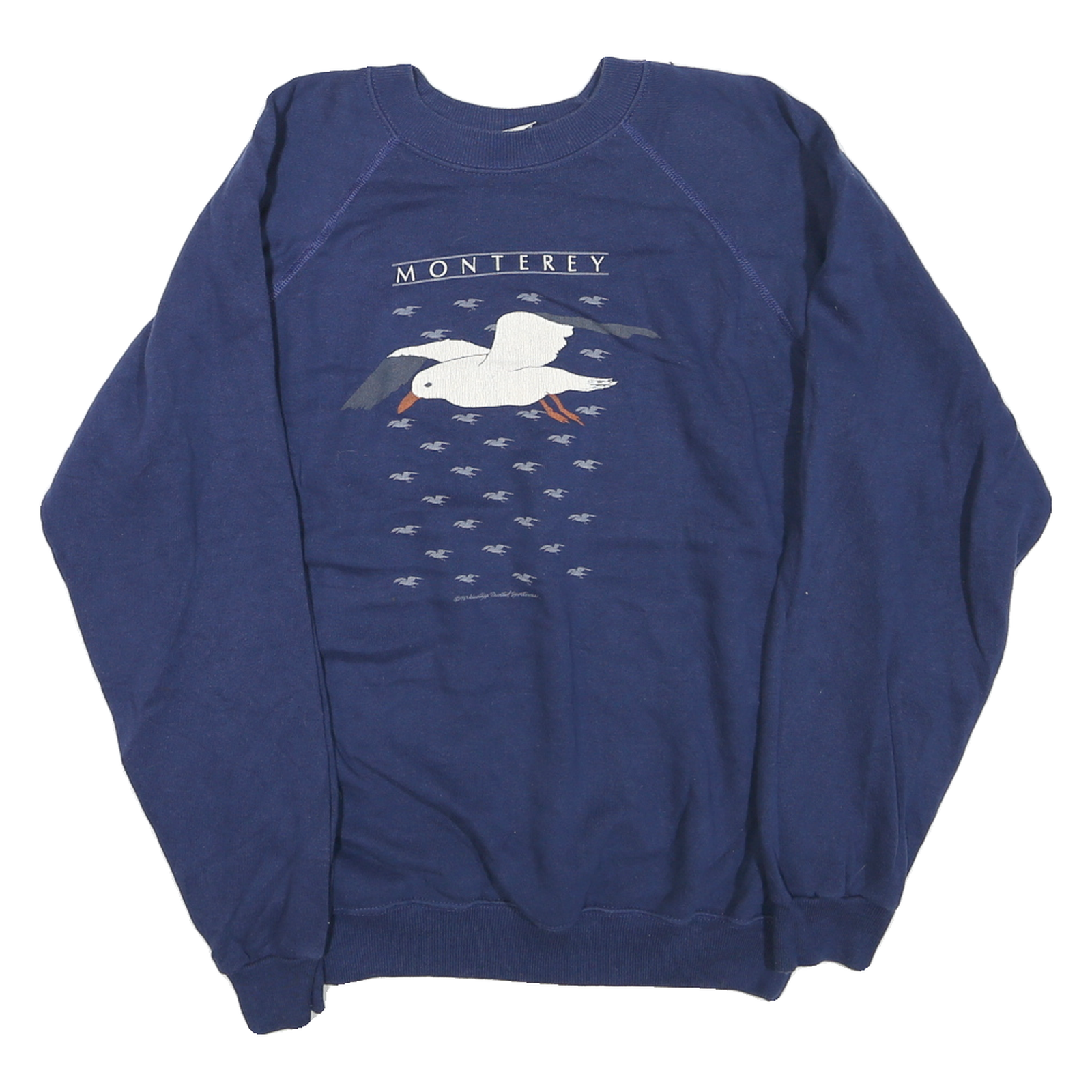 HANES Mens Blue Monterey Crew Neck L Cotton Blend Pullover Sweatshirt