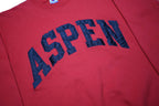 CHAMPION Womens Red Aspen Crew Neck S Cotton Blend Pullover Sweatshirt
