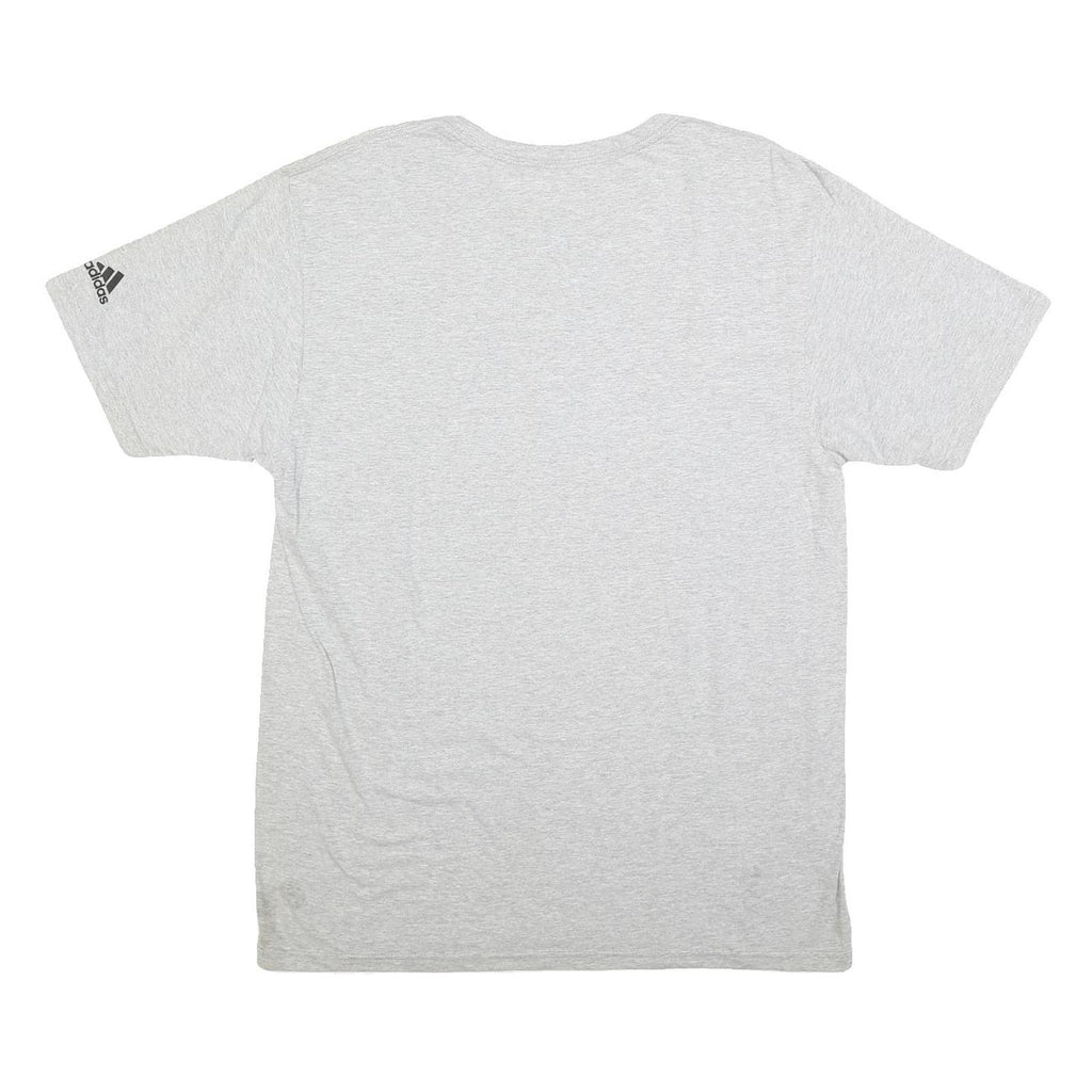 NIKE Mens Grey Northwestern Softball Graphic T-Shirt L Short Sleeve Crew Neck